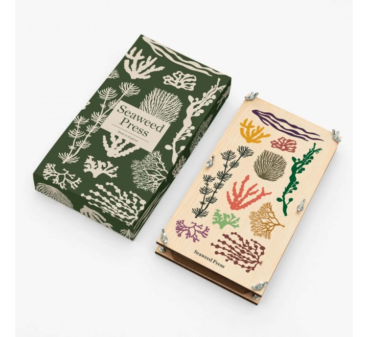 Seaweed Packaging Boxes - Gallery Image