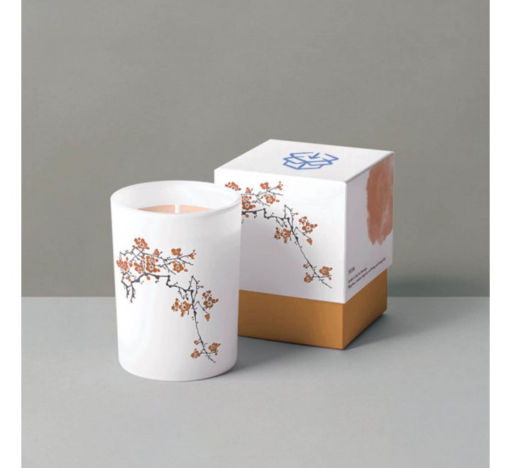 Candle Jars Wholesale packaging Boxes - Gallery Image