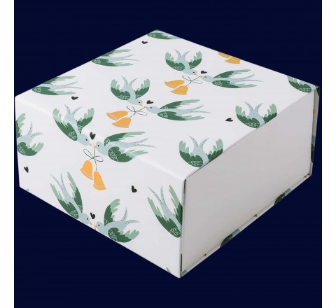 White Glossy Packaging Boxes
